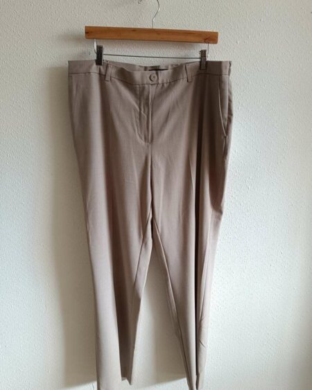 Pantalon gris clair basic t48